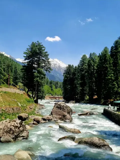 Sonamarg & Thajiwas Glacier — Short Break — photo 2