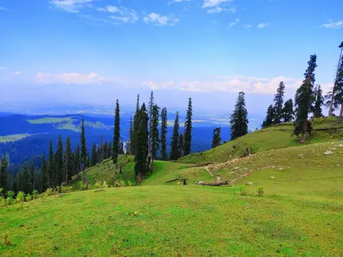 Kashmir Honeymoon — Srinagar, Gulmarg, Pahalgam