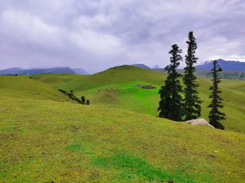 Kashmir Honeymoon — Srinagar, Gulmarg, Pahalgam — photo 2