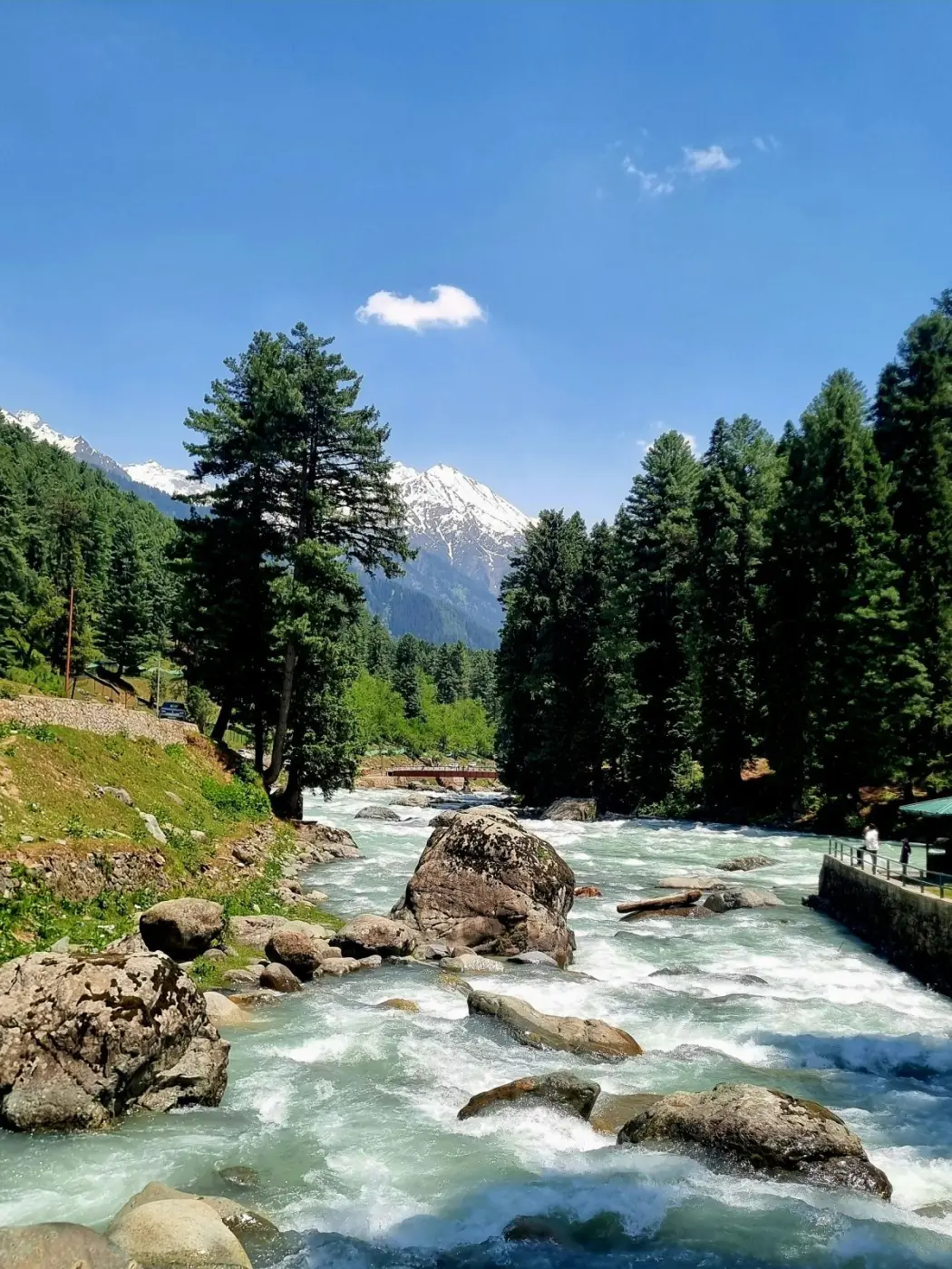 Sonamarg & Thajiwas Glacier — Short Break — photo 2