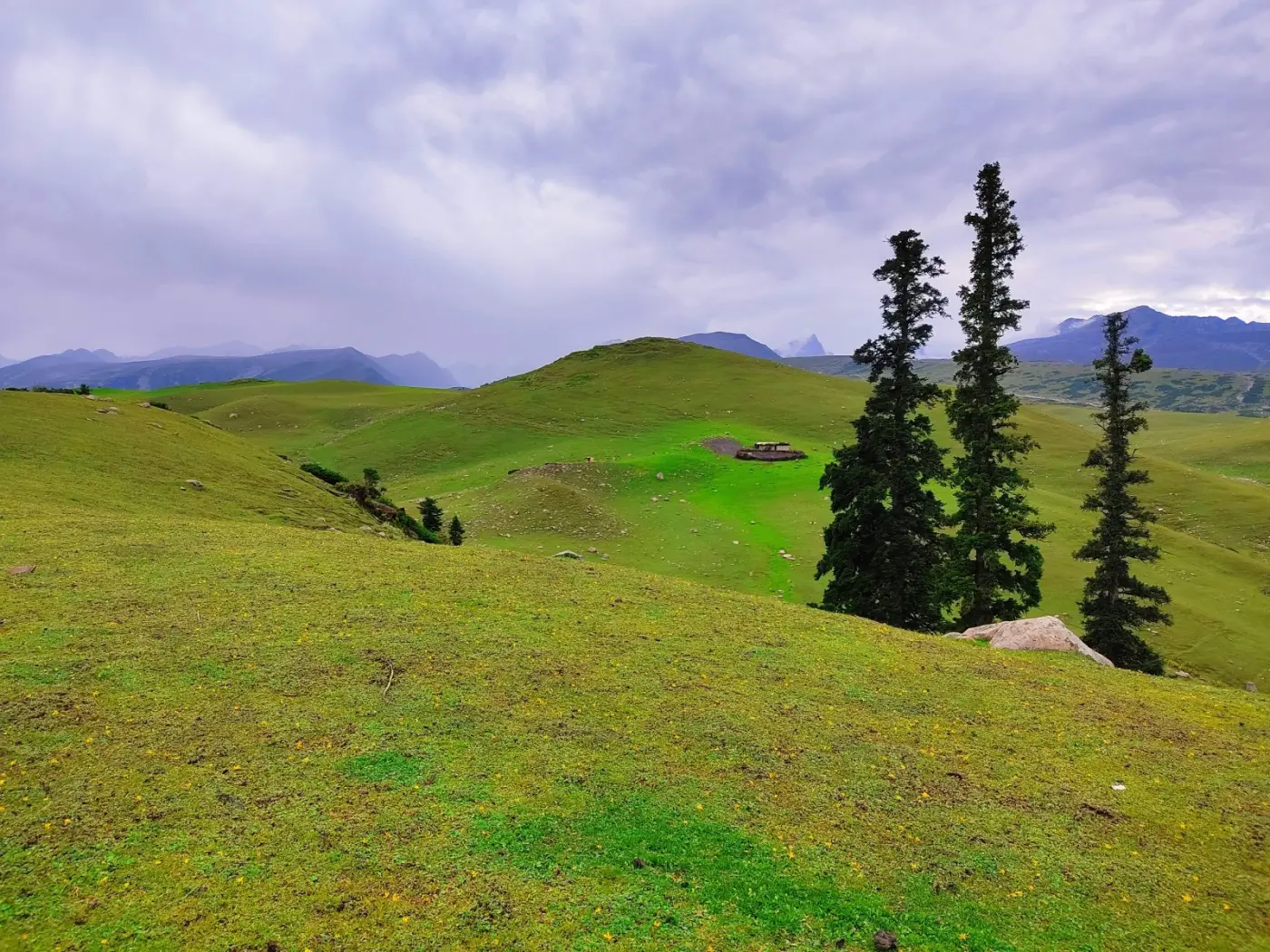 Kashmir Honeymoon — Srinagar, Gulmarg, Pahalgam — photo 2