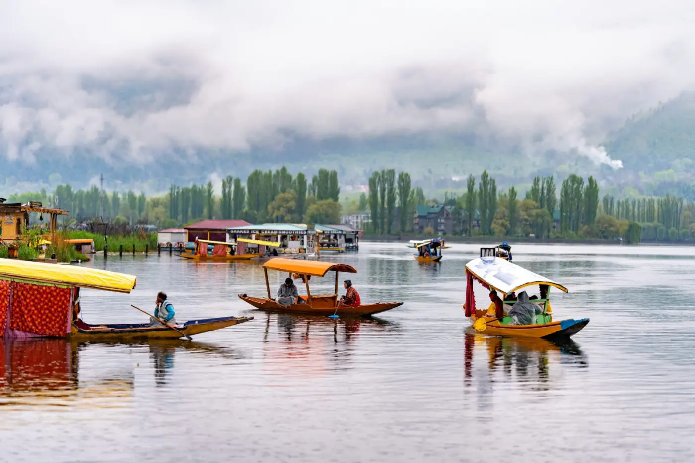 Kashmir Explorer - Srinagar, Gulmarg, Pahalgam & Sonamarg (5N/6D) — photo 3